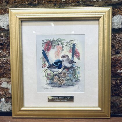 Superb Fairy Wren Limited Edition Print By Joy Scherger 74/999 Framed 33 x 30cm #71570-1