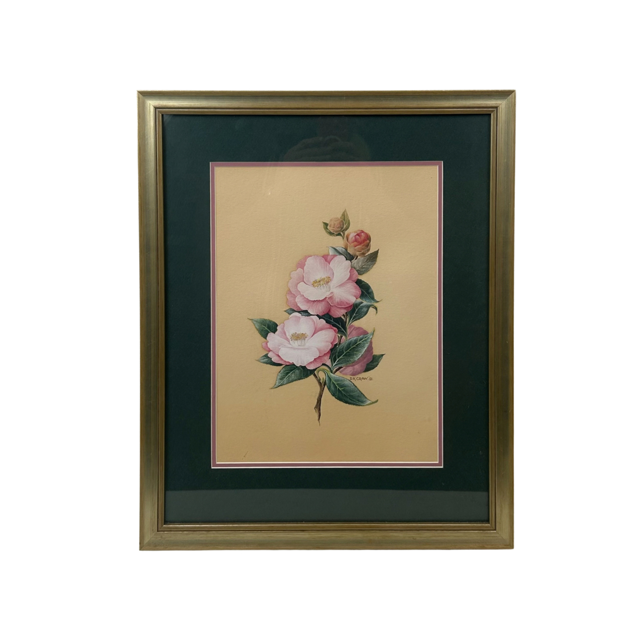 D.K. Craw 1981 Camellia Floral Painting | Original Watercolour & Gouache | Framed #71019 D.K. Craw 1981 Camellia Floral Painting | Original Watercolour & Gouache | Framed #71019