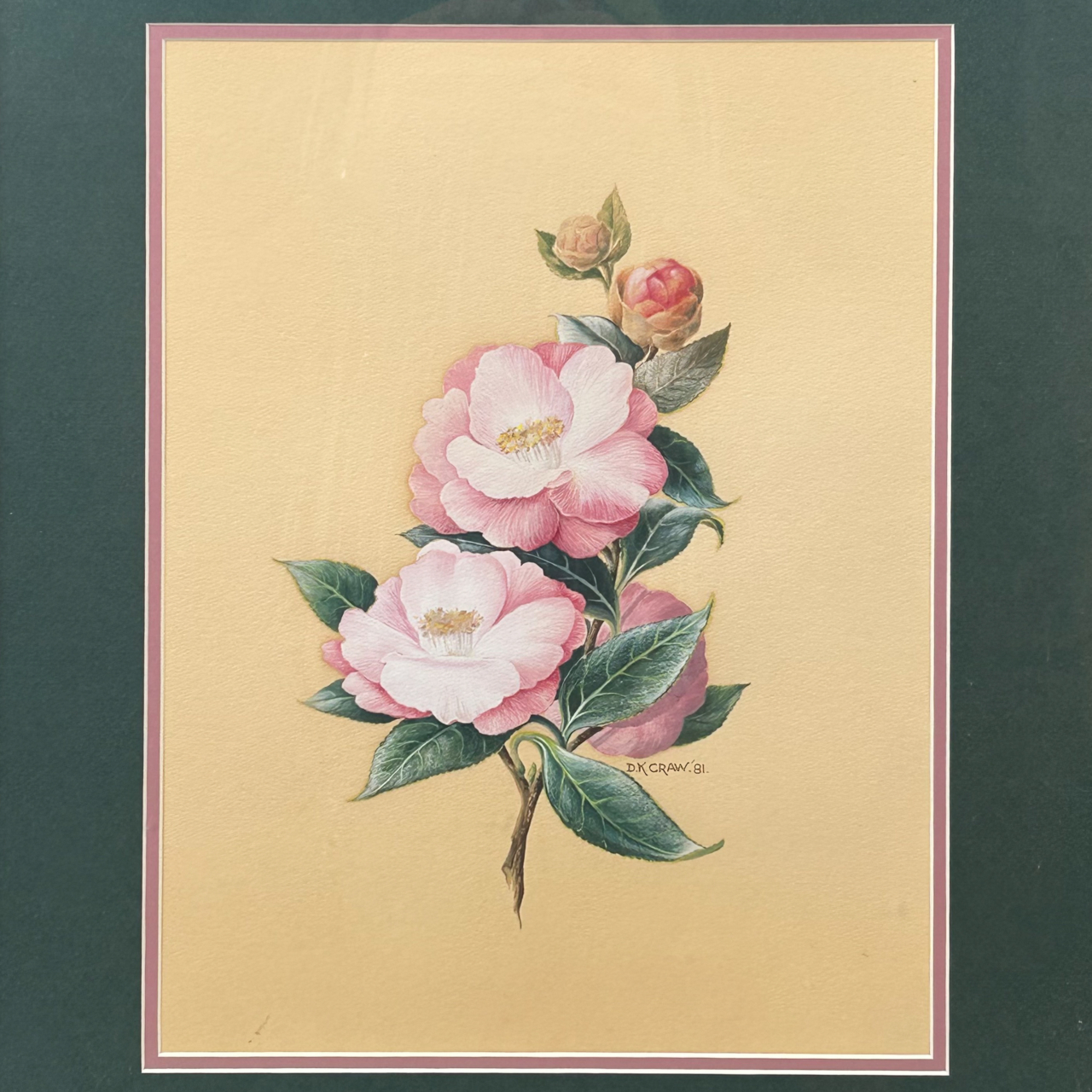 D.K. Craw 1981 Camellia Floral Painting | Original Watercolour & Gouache | Framed #71019 D.K. Craw 1981 Camellia Floral Painting | Original Watercolour & Gouache | Framed #71019 - Image 4
