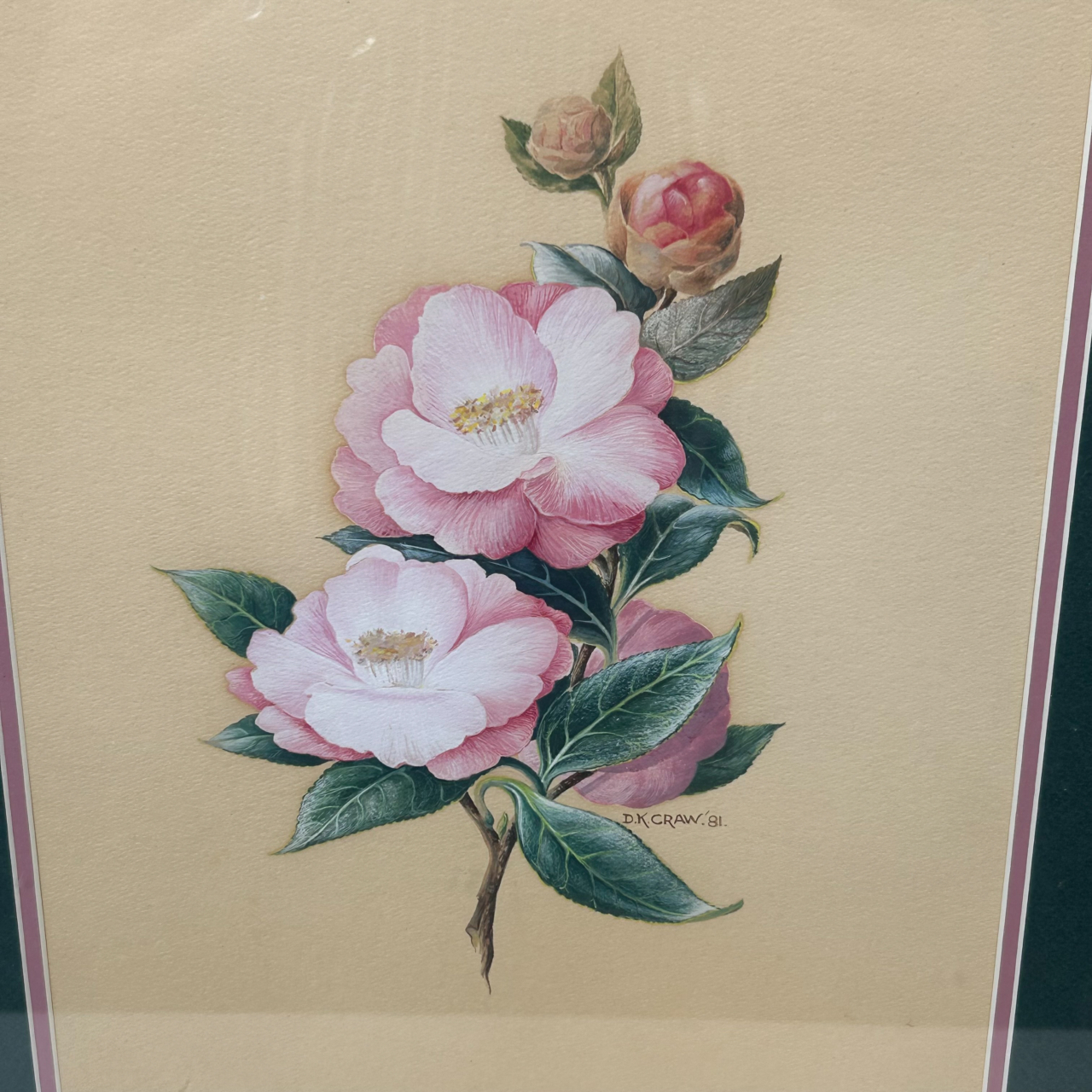 D.K. Craw 1981 Camellia Floral Painting | Original Watercolour & Gouache | Framed #71019 D.K. Craw 1981 Camellia Floral Painting | Original Watercolour & Gouache | Framed #71019 - Image 3