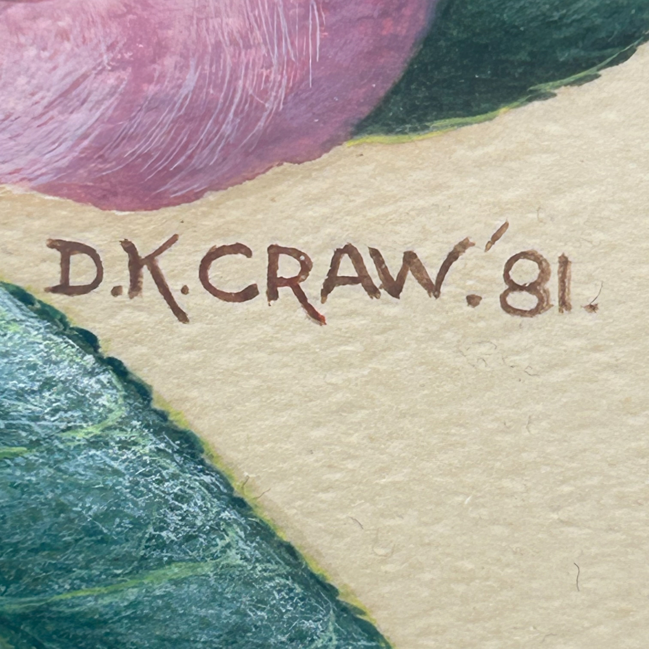 D.K. Craw 1981 Camellia Floral Painting | Original Watercolour & Gouache | Framed #71019 D.K. Craw 1981 Camellia Floral Painting | Original Watercolour & Gouache | Framed #71019 - Image 6
