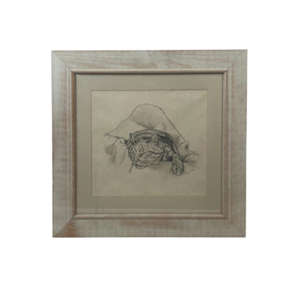 Monty's Robyn C. 1995 Sleeping Cat Original Pencil Drawing | Signed & Framed #71022