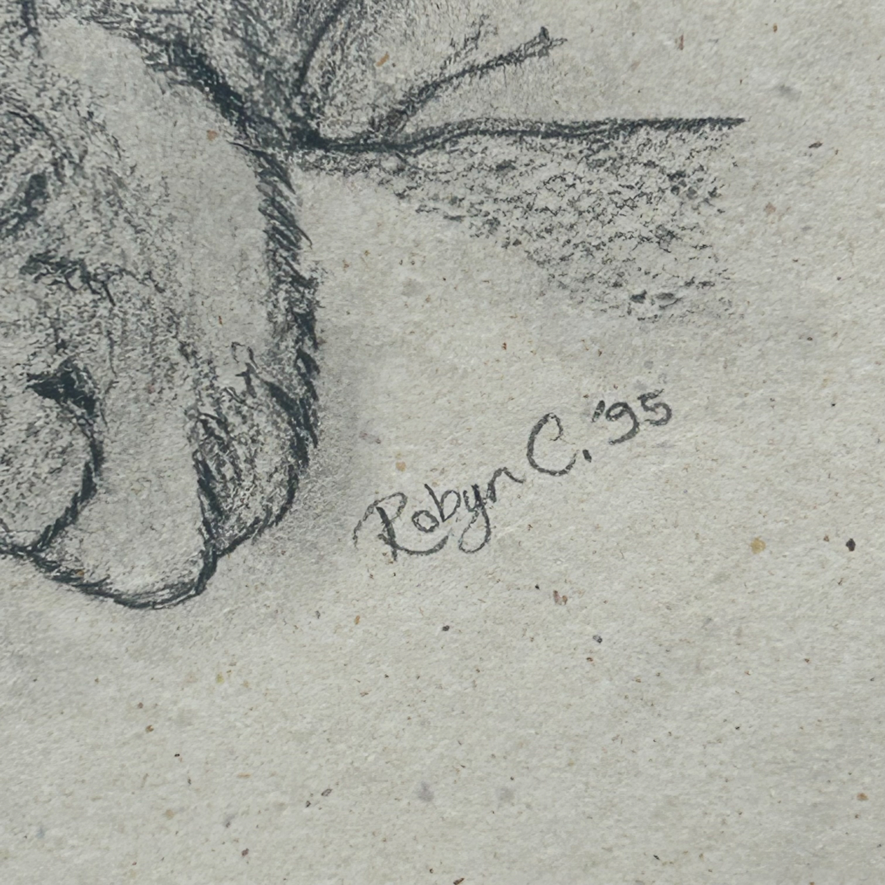 Robyn C. 1995 Sleeping Cat Original Pencil Drawing | Signed & Framed #71022 Robyn C. 1995 Sleeping Cat Original Pencil Drawing | Signed & Framed #71022 - Image 6