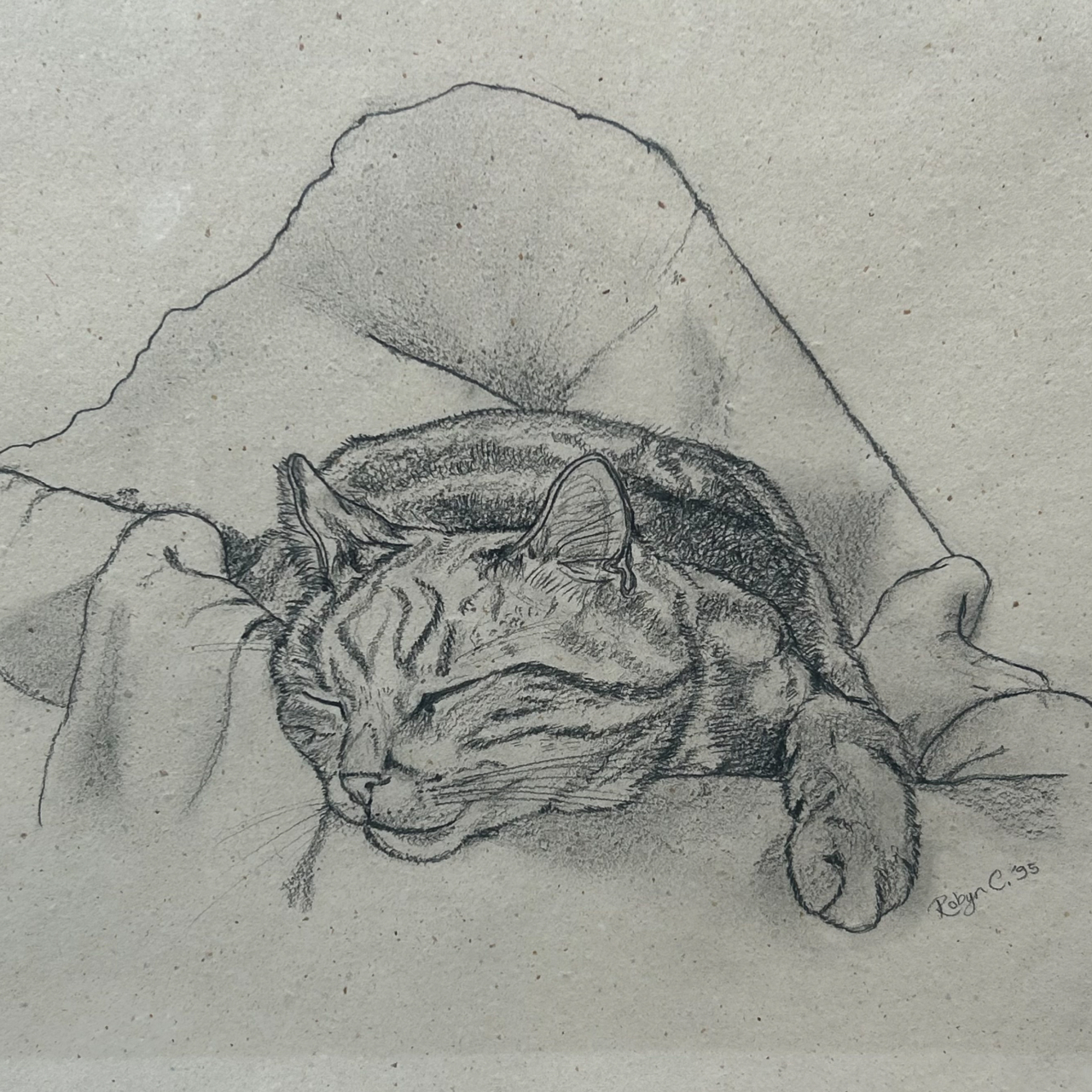 Robyn C. 1995 Sleeping Cat Original Pencil Drawing | Signed & Framed #71022 Robyn C. 1995 Sleeping Cat Original Pencil Drawing | Signed & Framed #71022 - Image 2