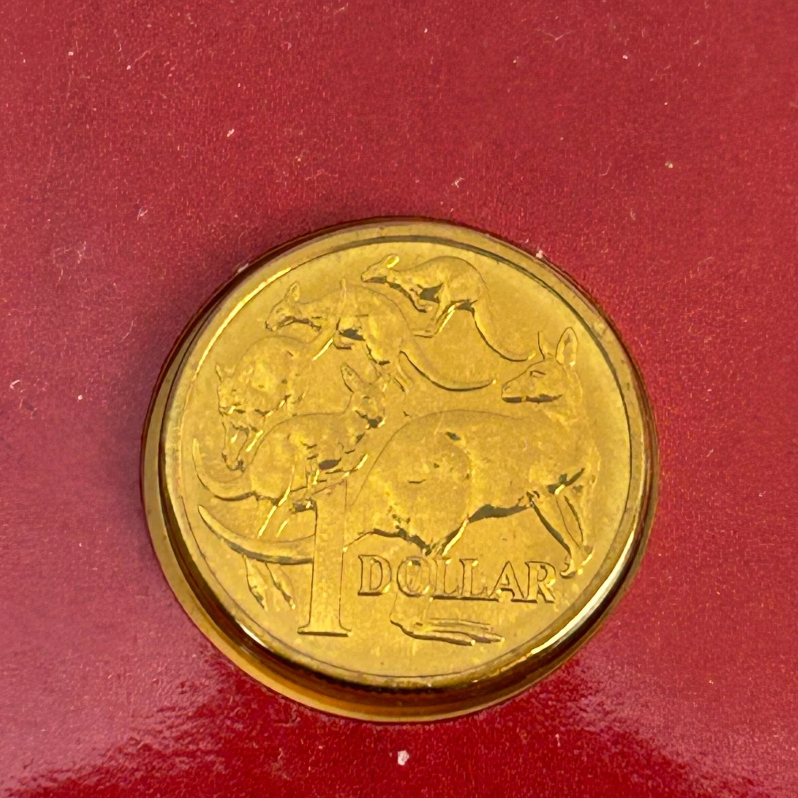 1984 Australian $1 Uncirculated Coin | Royal Australian Mint Card #71636-3 1984 Australian $1 Uncirculated Coin | Royal Australian Mint Card #71636-3 - Image 3