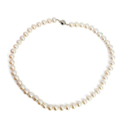 Monty's Sterling Silver White Freshwater Pearl Necklace | 49.8g | 44cm #72168